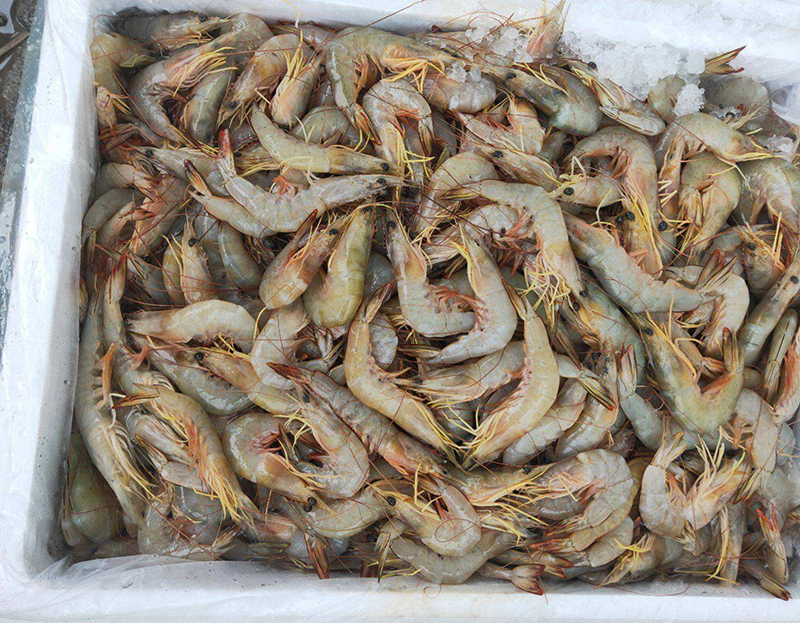 青虾配（pèi）送