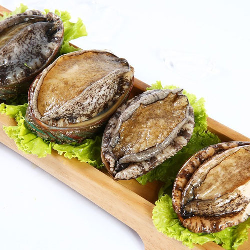 鲍（bào）鱼配送