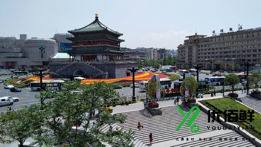 西（xī）安市莲湖区蔬菜配（pèi）送中心