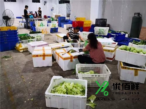 西安食材配送的痛點，解決方法是什麽？